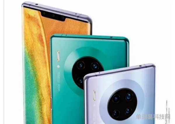 华为mate30配置表(mate30带指纹吗)