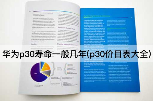 华为p30寿命一般几年(p30价目表大全)
