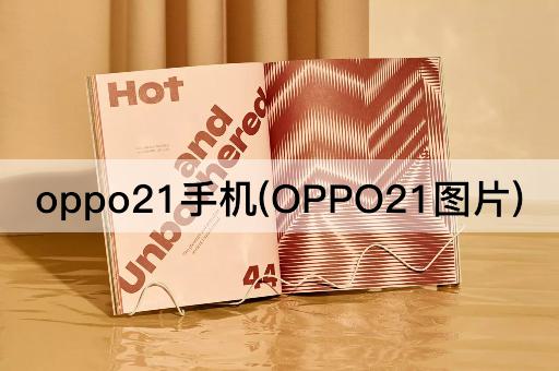 oppo21手机(OPPO21图片)