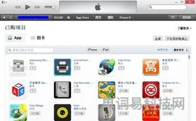 iPhone手机删除ID的注意事项(苹果手机删除id的方法)