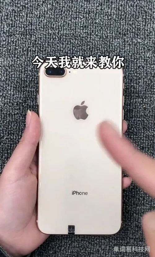苹果手机辨别真假的技巧(判断苹果手机真假)