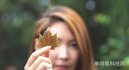 摄影时怎样让照片背景更虚化(照相怎么背景虚化)