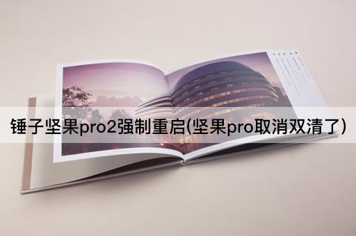 锤子坚果pro2强制重启(坚果pro取消双清了)