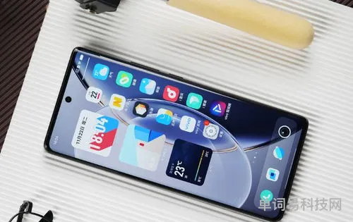 vivox80是曲面屏吗(vivo x80的详细参数)