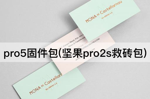 pro5固件包(坚果pro2s救砖包)