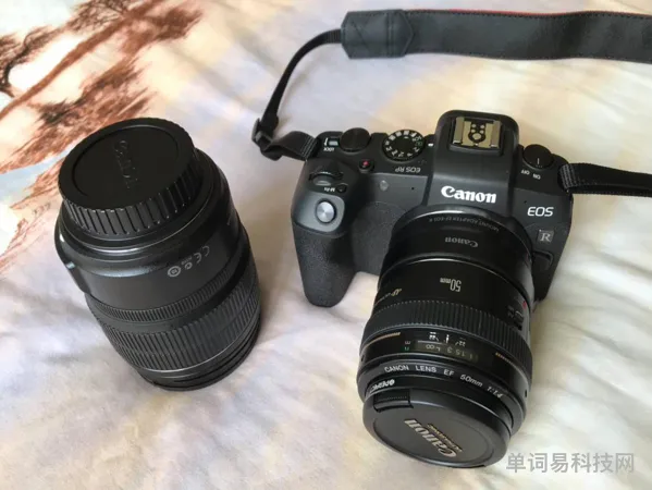佳能和尼康的区别(尼康和佳能成像对比)