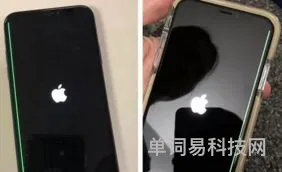 苹果iPhoneX手机屏幕失灵的故障原因