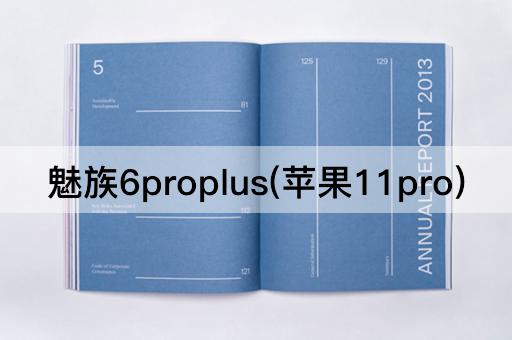 魅族6proplus(苹果11pro)