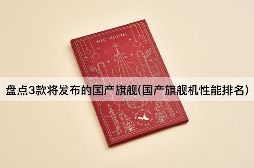 盘点3款将发布的国产旗舰(国产旗舰机性能排名)